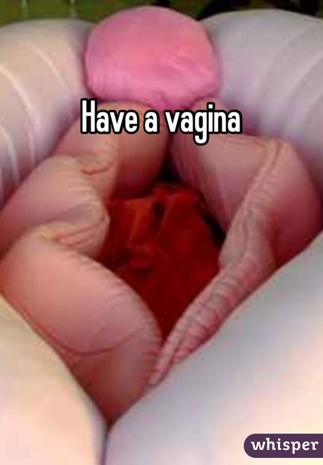 Have a vagina 