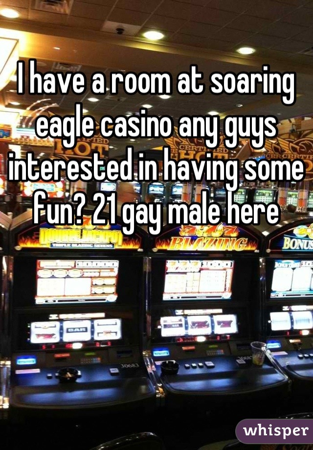 I have a room at soaring eagle casino any guys interested in having some fun? 21 gay male here