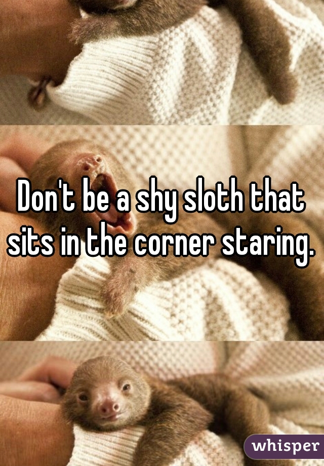 Don't be a shy sloth that sits in the corner staring. 