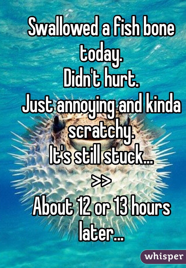 Swallowed a fish bone today.
Didn't hurt.
Just annoying and kinda scratchy.
It's still stuck...
>>
About 12 or 13 hours later...