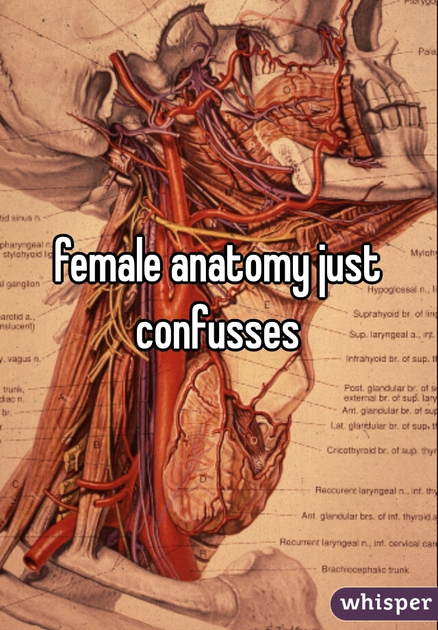 female anatomy just confusses 