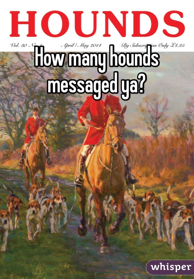 How many hounds messaged ya?