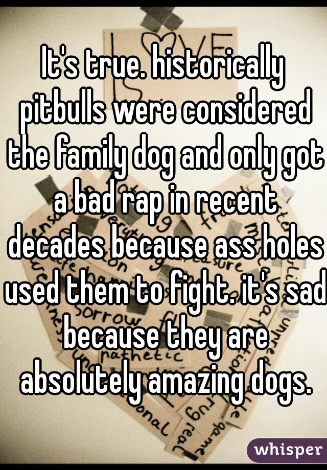 It's true. historically pitbulls were considered the family dog and only got a bad rap in recent decades because ass holes used them to fight. it's sad because they are absolutely amazing dogs.