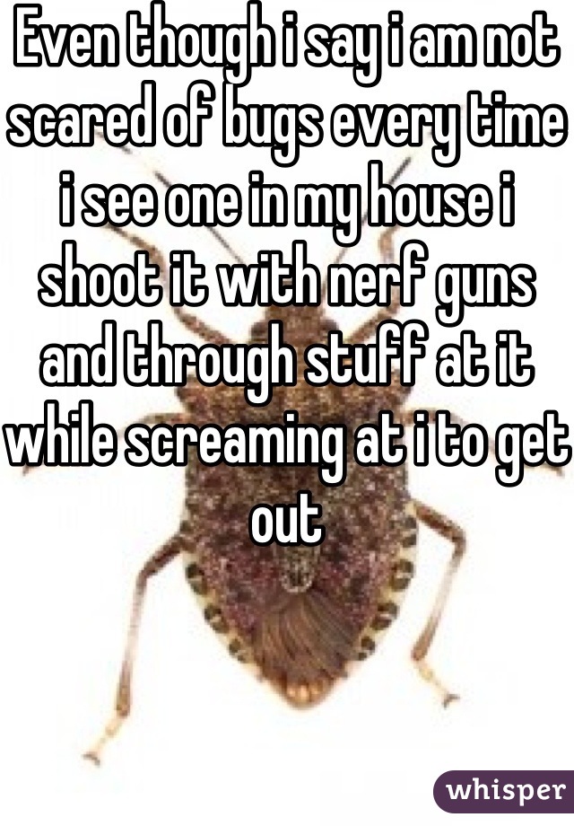 Even though i say i am not scared of bugs every time i see one in my house i shoot it with nerf guns and through stuff at it while screaming at i to get out