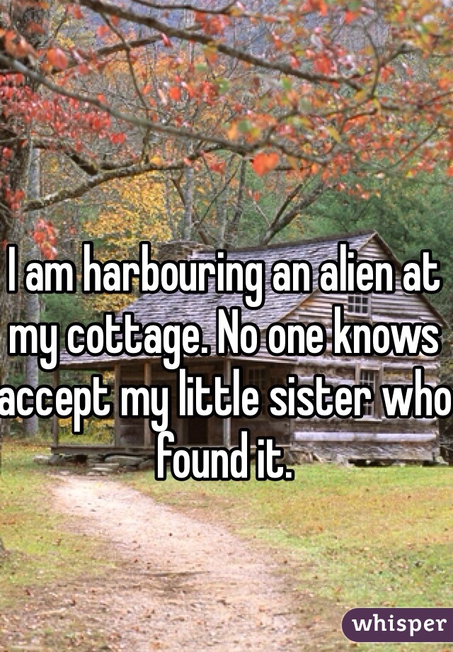 I am harbouring an alien at my cottage. No one knows accept my little sister who found it.  