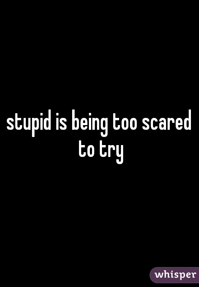 stupid is being too scared to try