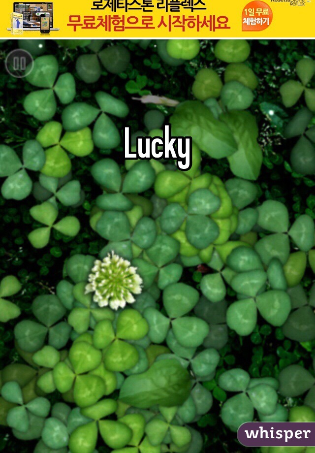 Lucky 