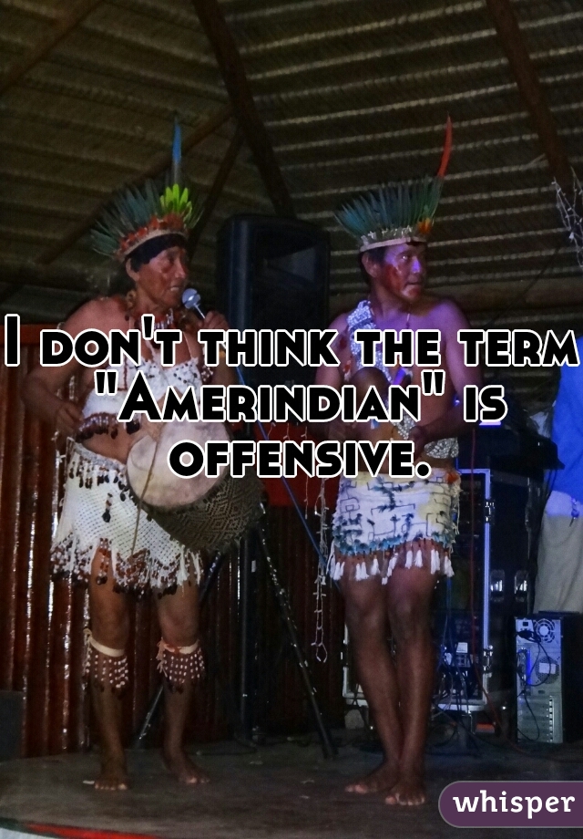 I don't think the term "Amerindian" is offensive.