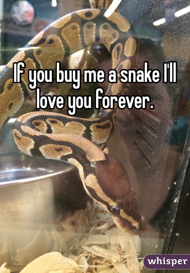 If you buy me a snake I'll love you forever. 