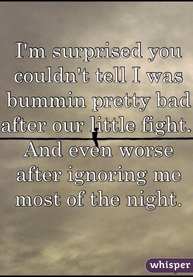 I'm surprised you couldn't tell I was bummin pretty bad after our little fight. And even worse after ignoring me most of the night. 