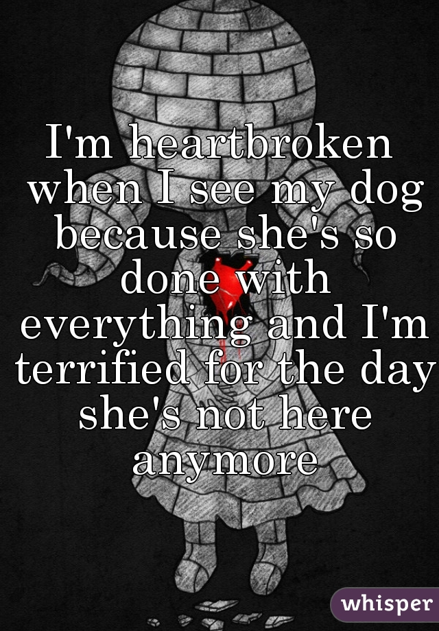 I'm heartbroken when I see my dog because she's so done with everything and I'm terrified for the day she's not here anymore