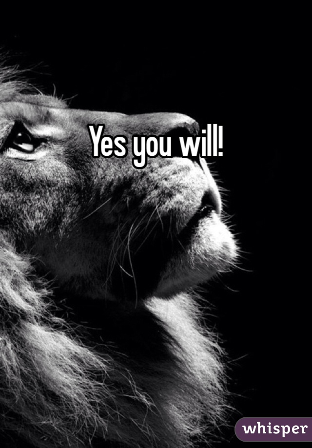 Yes you will!