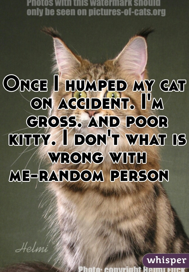 Once I humped my cat on accident. I'm gross. and poor kitty. I don't what is wrong with me-random person   