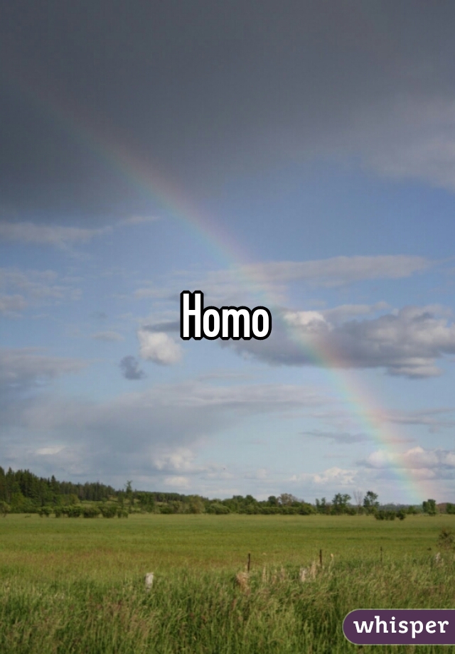 Homo