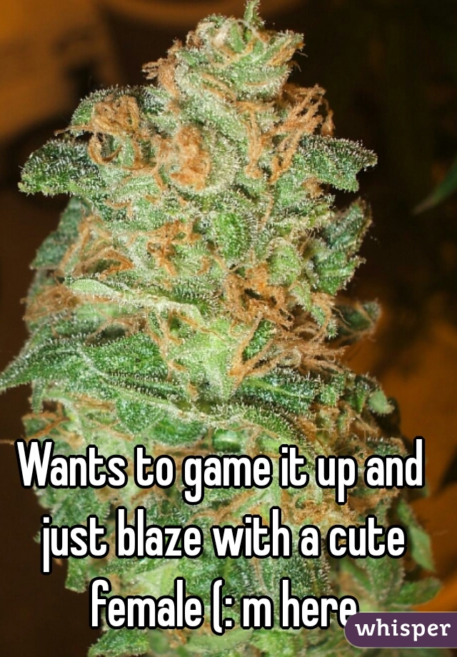 Wants to game it up and just blaze with a cute female (: m here