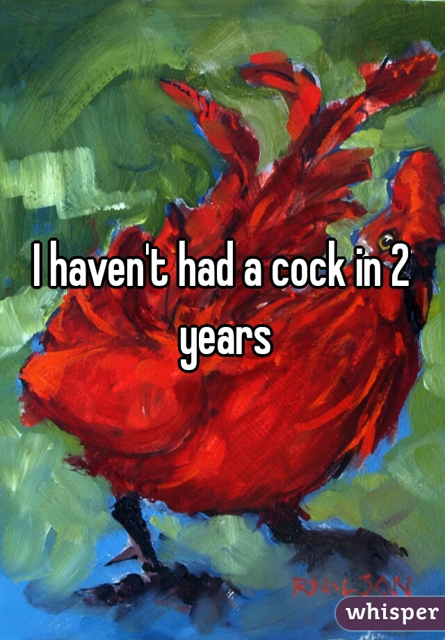 I haven't had a cock in 2 years