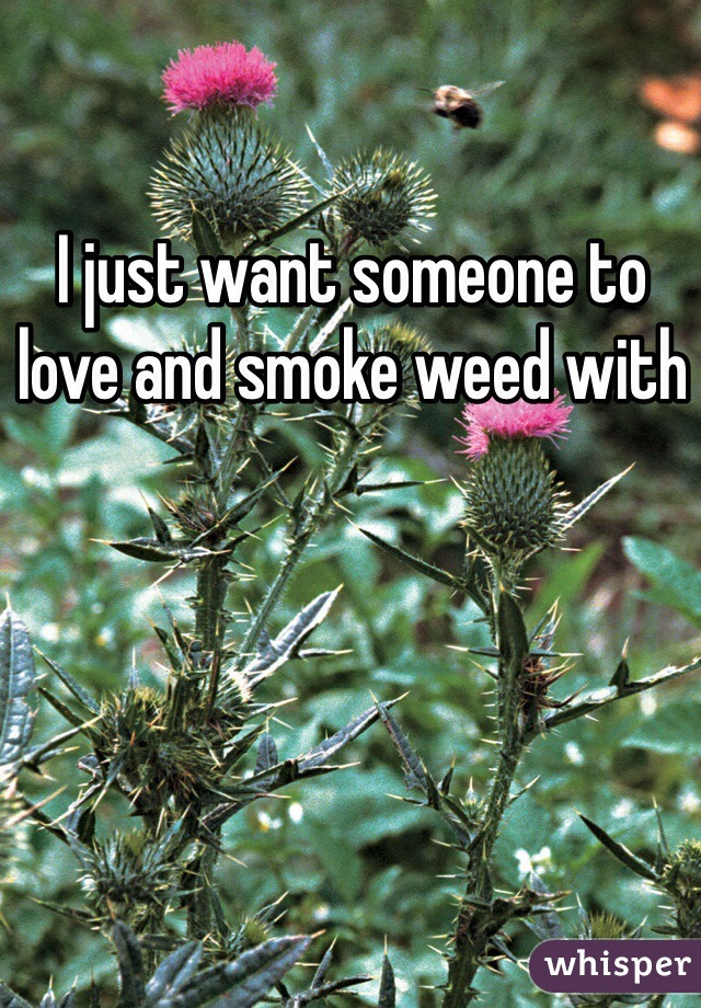 I just want someone to love and smoke weed with 