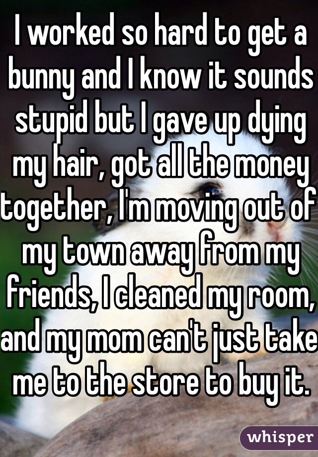 I worked so hard to get a bunny and I know it sounds stupid but I gave up dying my hair, got all the money together, I'm moving out of my town away from my friends, I cleaned my room, and my mom can't just take me to the store to buy it. 