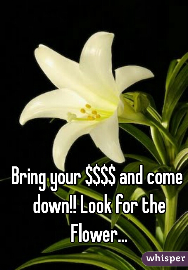 Bring your $$$$ and come down!! Look for the Flower...