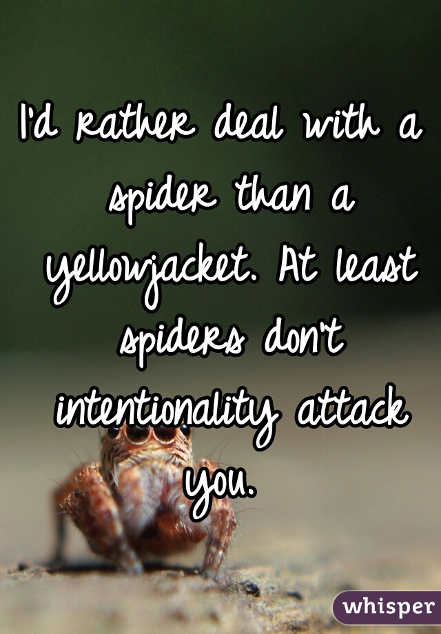 I'd rather deal with a spider than a yellowjacket. At least spiders don't intentionality attack you. 