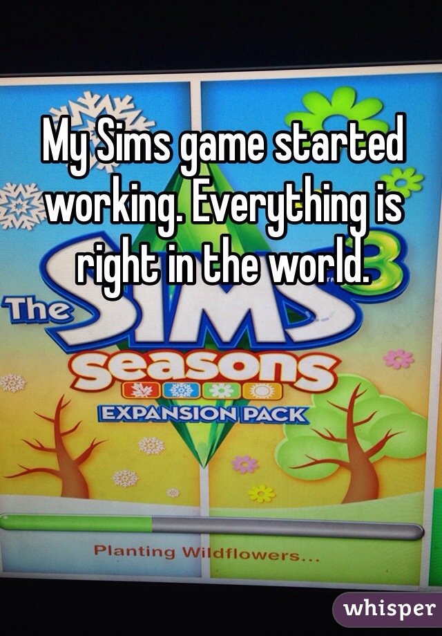 My Sims game started working. Everything is right in the world. 