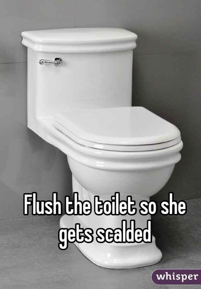 Flush the toilet so she gets scalded