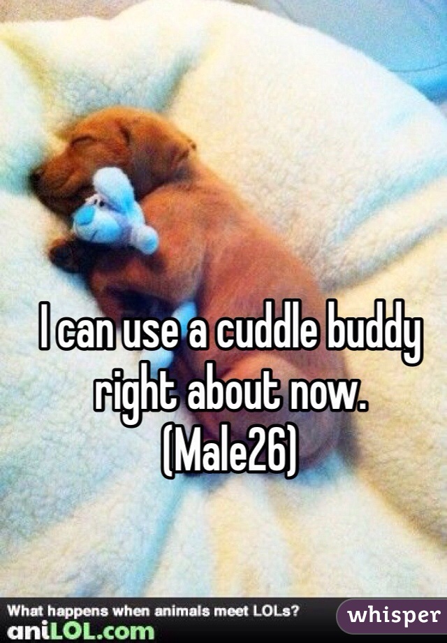 I can use a cuddle buddy right about now. 
(Male26)