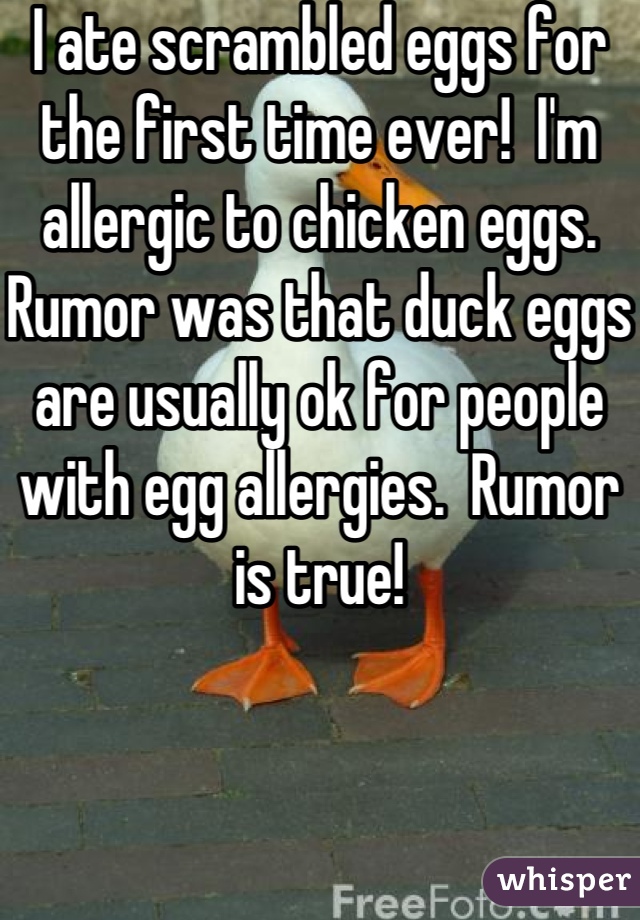 I ate scrambled eggs for the first time ever!  I'm allergic to chicken eggs.  Rumor was that duck eggs are usually ok for people with egg allergies.  Rumor is true!