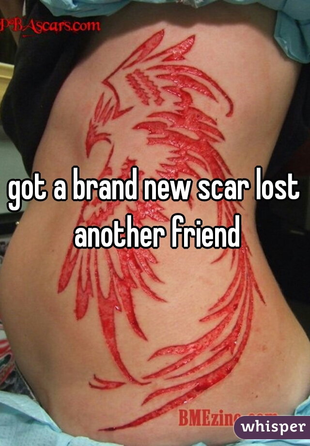 got a brand new scar lost another friend