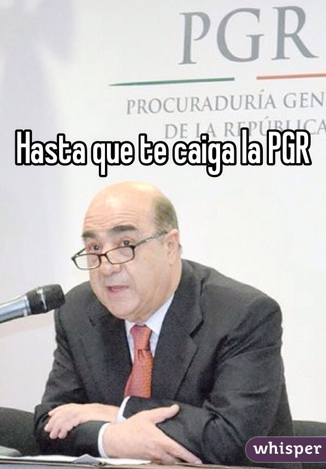 Hasta que te caiga la PGR