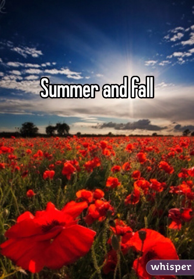 Summer and fall 