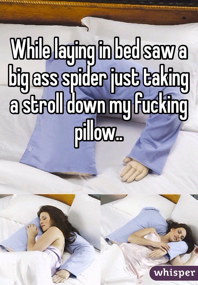 While laying in bed saw a big ass spider just taking a stroll down my fucking pillow..