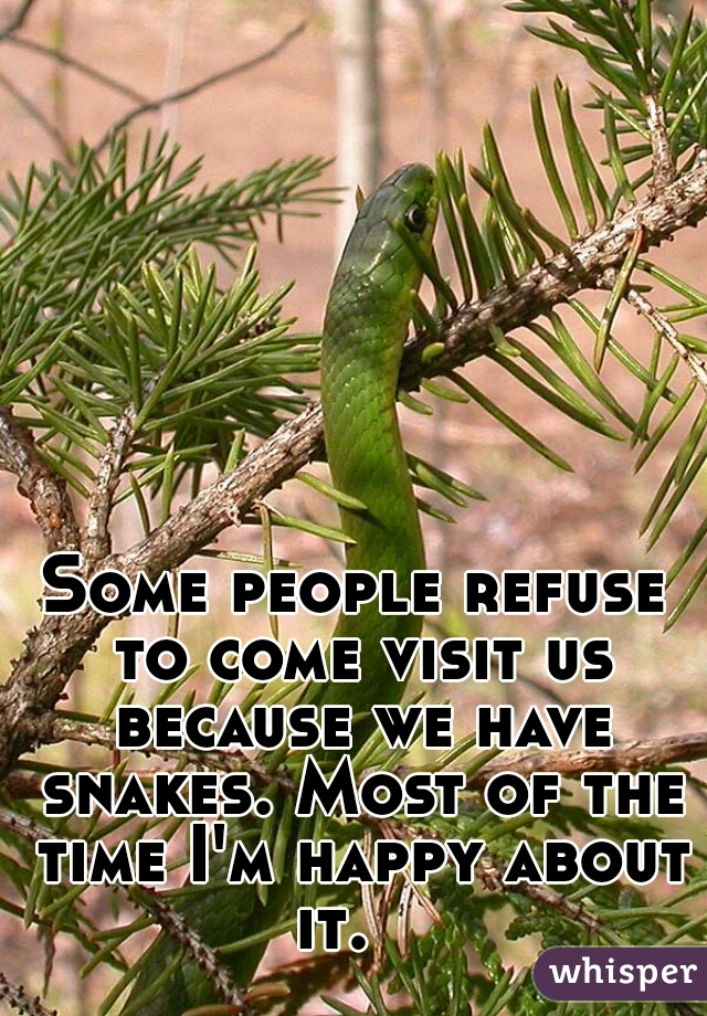 Some people refuse to come visit us because we have snakes. Most of the time I'm happy about it.   
