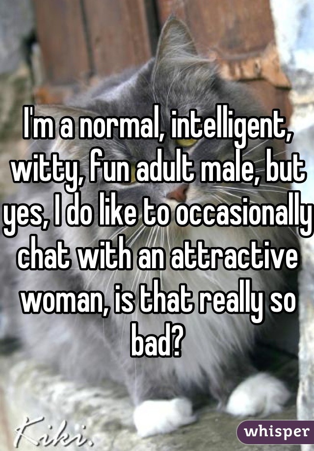 I'm a normal, intelligent, witty, fun adult male, but yes, I do like to occasionally chat with an attractive woman, is that really so bad?