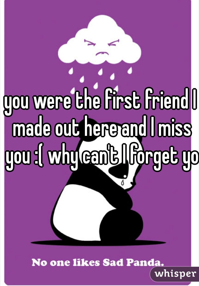 you were the first friend I made out here and I miss you :( why can't I forget you