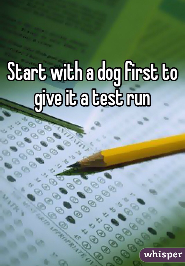 Start with a dog first to give it a test run 