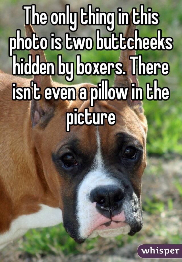 The only thing in this photo is two buttcheeks hidden by boxers. There isn't even a pillow in the picture