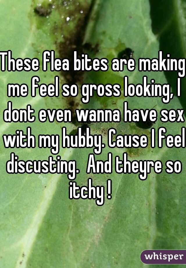 These flea bites are making me feel so gross looking, I dont even wanna have sex with my hubby. Cause I feel discusting.  And theyre so itchy !  