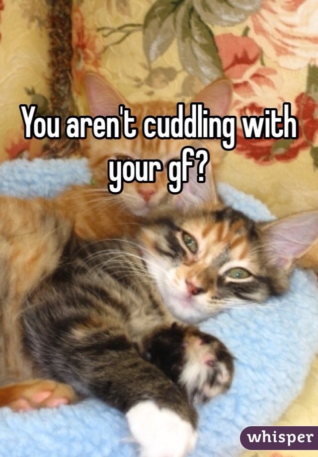 You aren't cuddling with your gf?