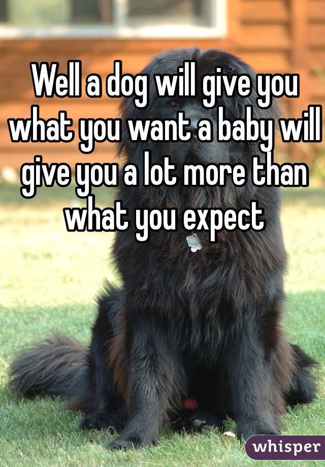 Well a dog will give you what you want a baby will give you a lot more than what you expect 