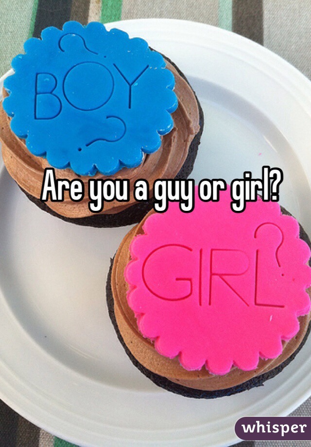 Are you a guy or girl?