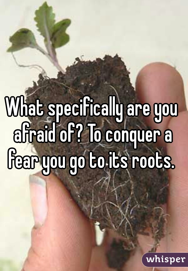 What specifically are you afraid of? To conquer a fear you go to its roots. 