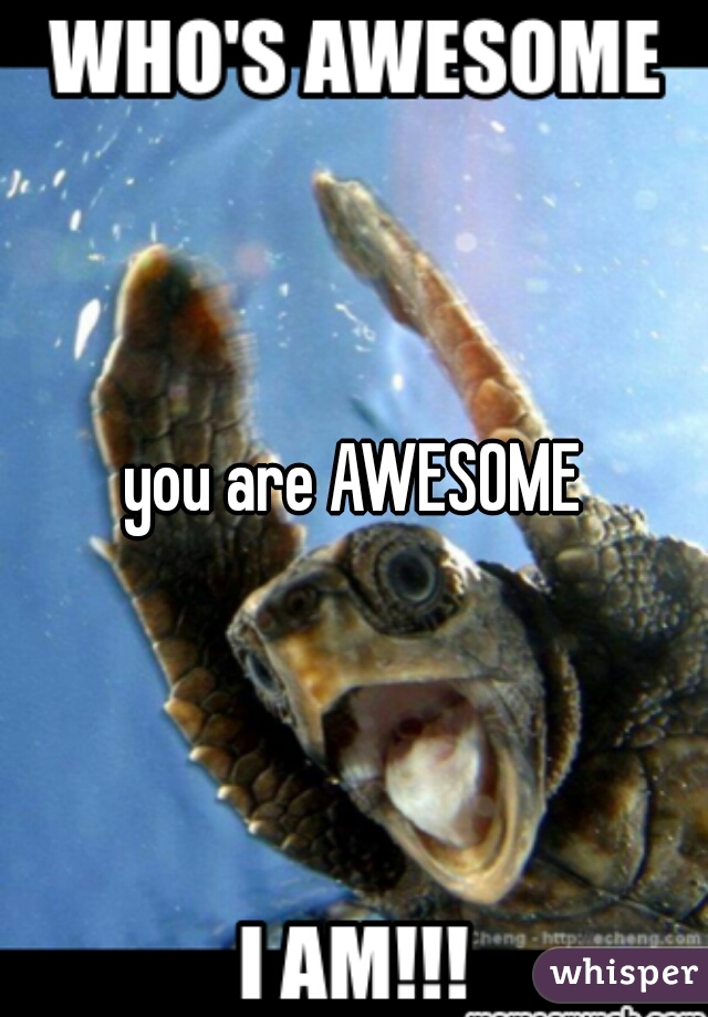 you are AWESOME