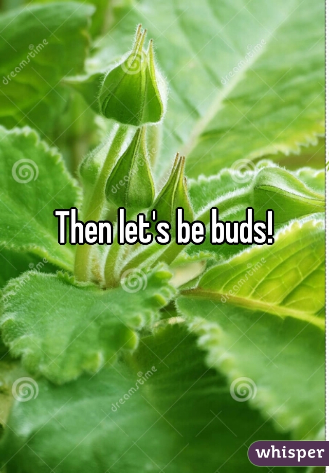 Then let's be buds!