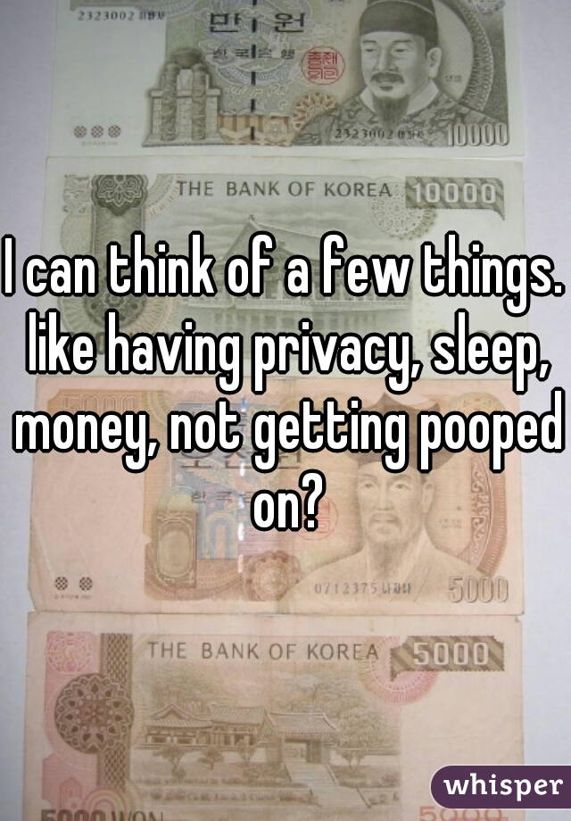 I can think of a few things. like having privacy, sleep, money, not getting pooped on?