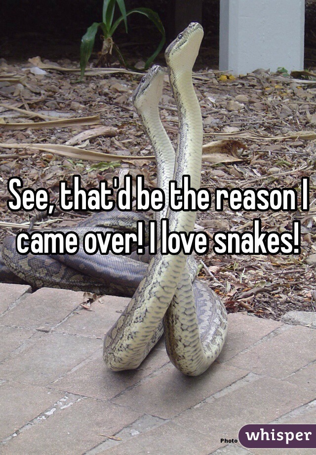 See, that'd be the reason I came over! I love snakes!