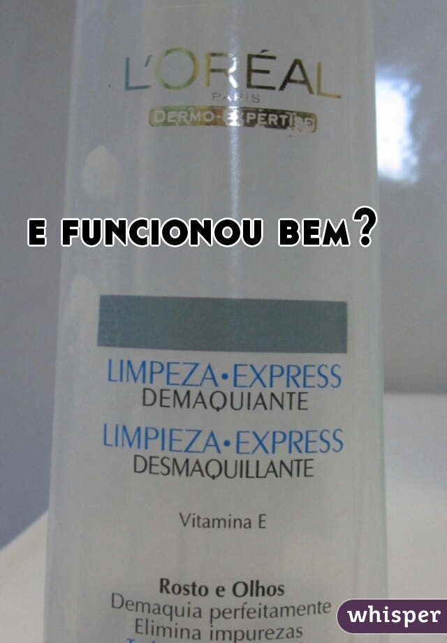 e funcionou bem?   