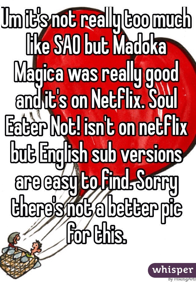 Um it's not really too much like SAO but Madoka Magica was really good and it's on Netflix. Soul Eater Not! isn't on netflix but English sub versions are easy to find. Sorry there's not a better pic for this.