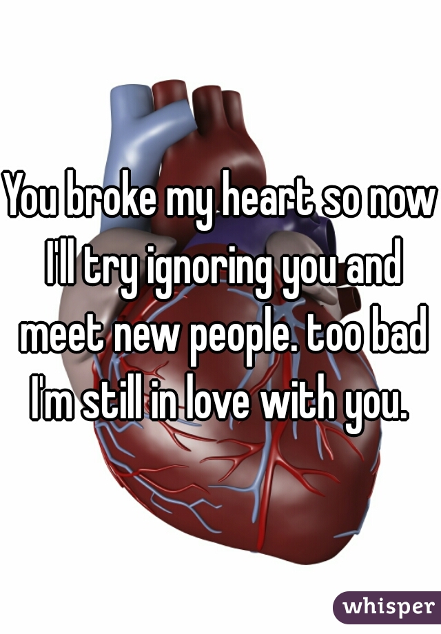 You broke my heart so now I'll try ignoring you and meet new people. too bad I'm still in love with you. 
