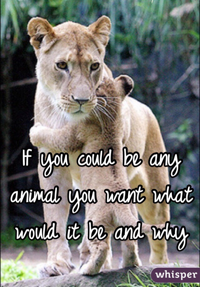 If you could be any animal you want what would it be and why